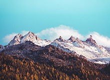 【观察】两战显超巨本色 雄鹿热火却退出哈登争夺？